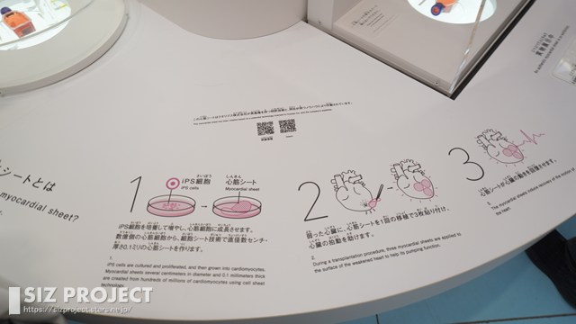 タイトルなし (182)